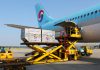 Korean Air launches new cargo API Photo 2. Korean Airs passenger aircraft A330 cargo loading operation scaled