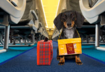 AAV News in Brief 23 December 2025 shutterstock 1504035356 scaled